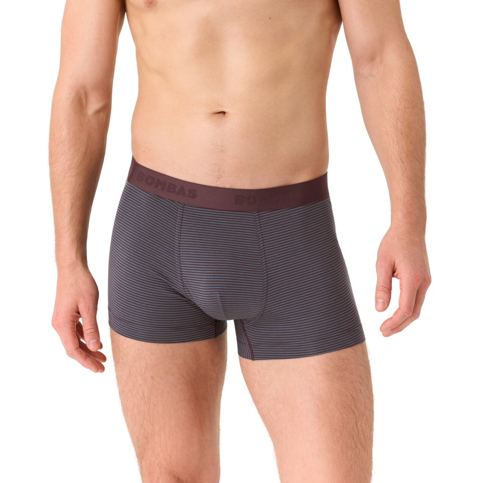 Men's Cotton Modal Blend Trunk - All Spice / Pebble Micro Stripe MO1 [8472]