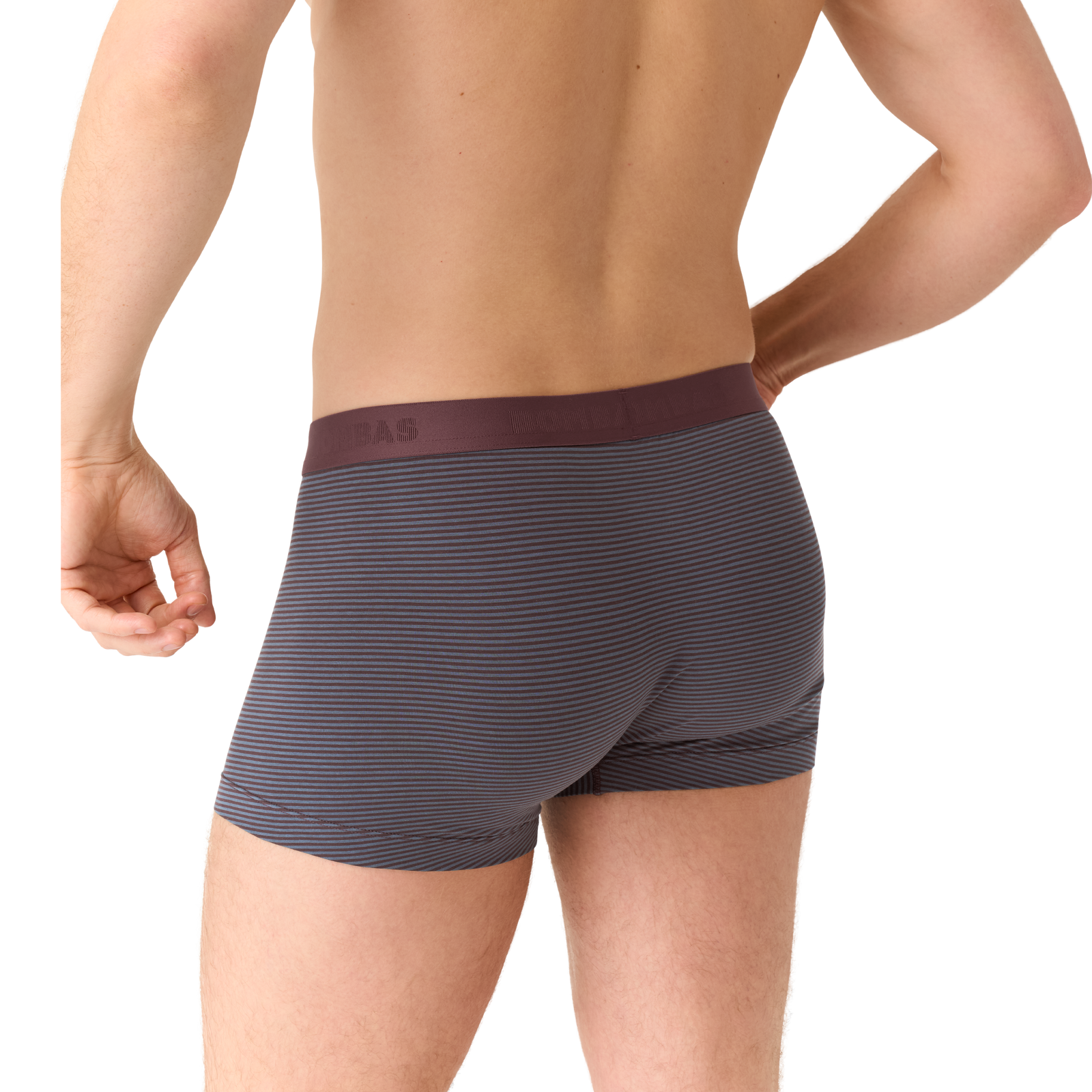 official-bombas::8472-allspice-pebblemicrostripe-adult-male-onmodel-2-transparent.png