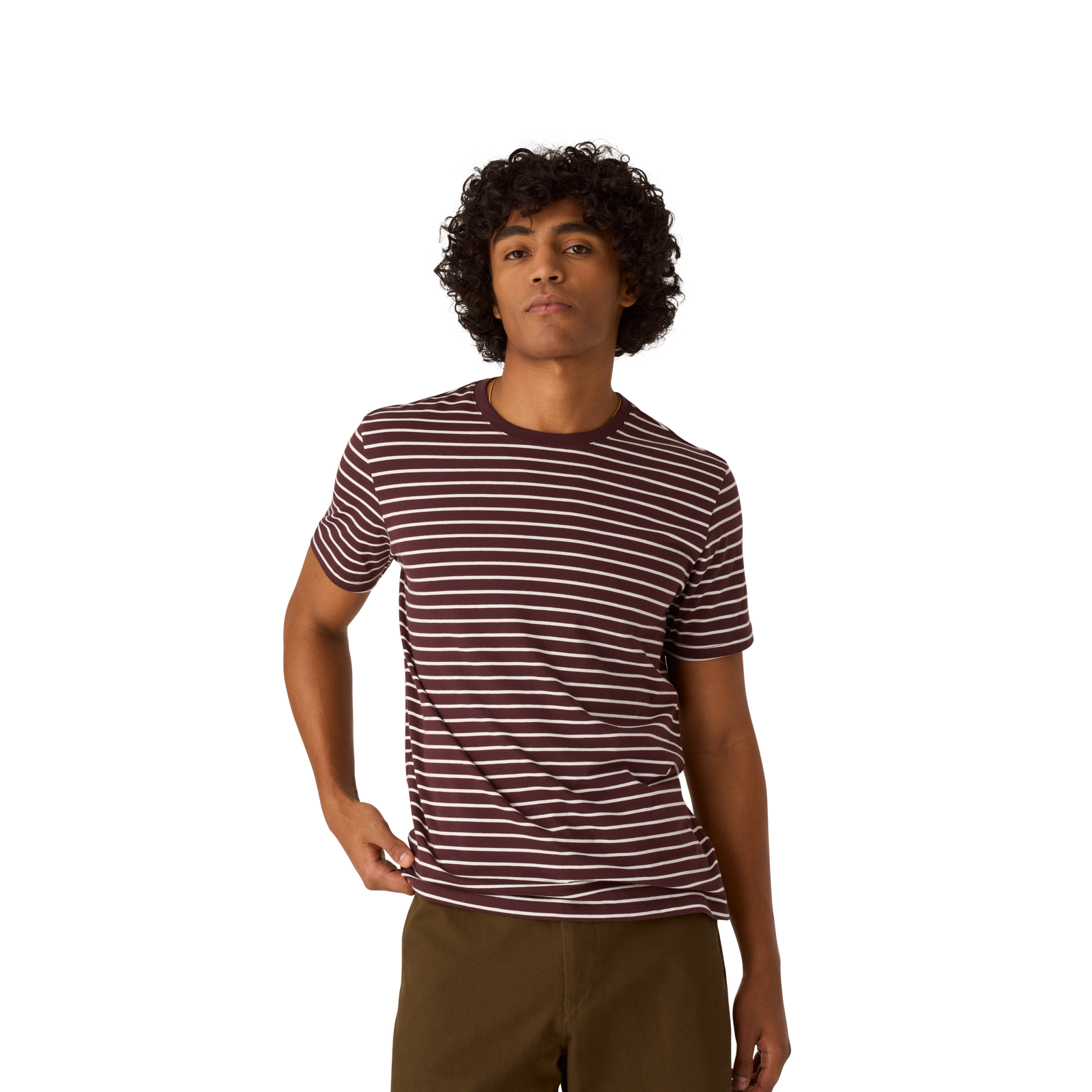 Men's Pima Cotton Crew Neck T-Shirt - all spice MO1 [8525]