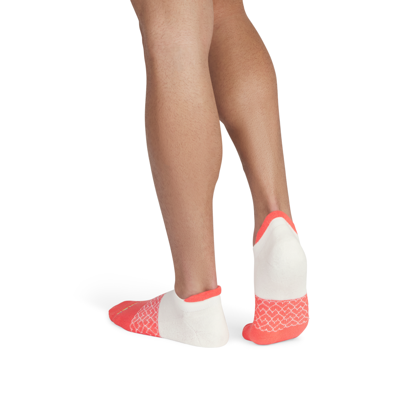 Pride Ankle Socks - heirloom red WO2 [8900]